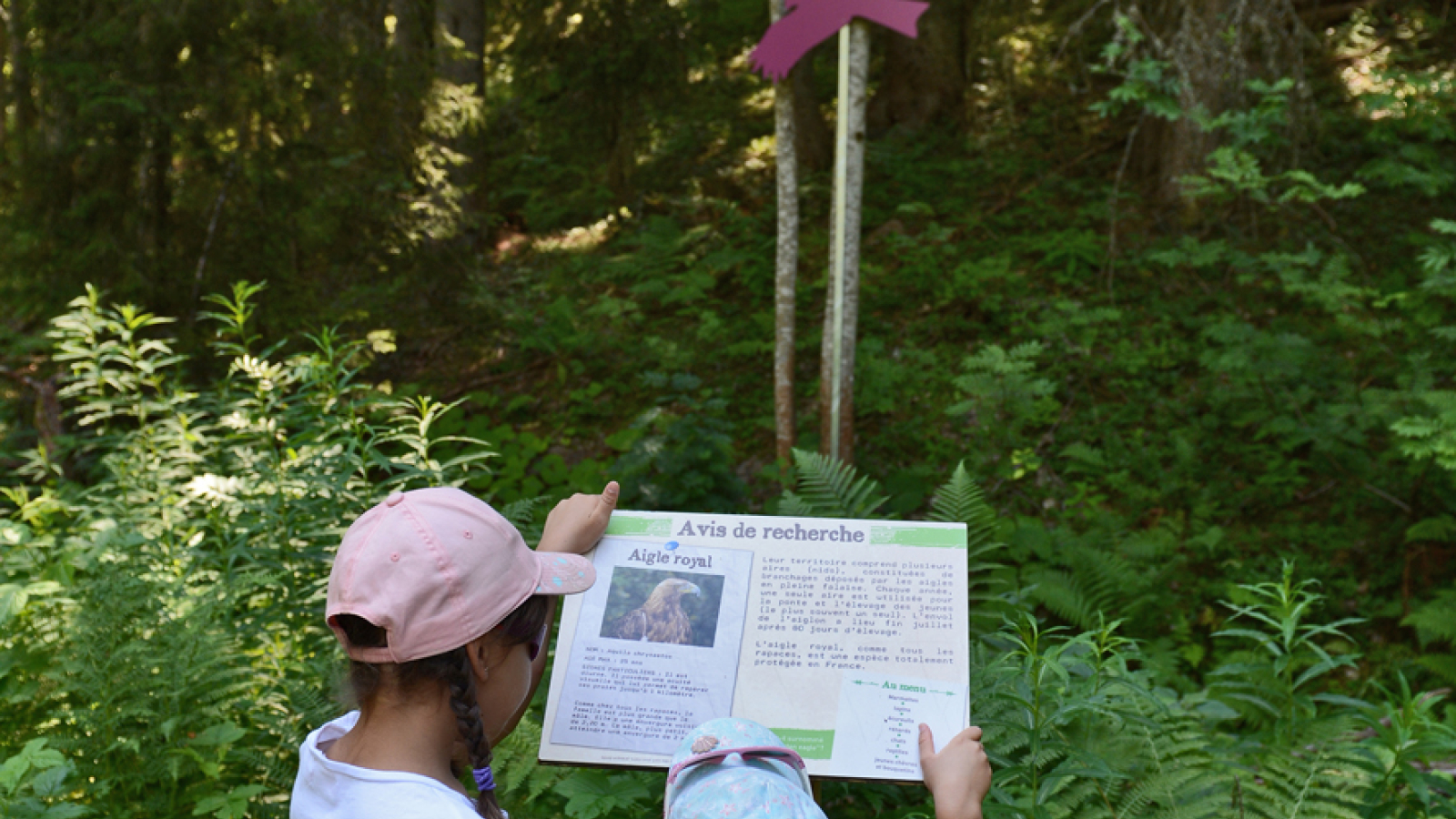 Parcours Cache-Cache des Animaux