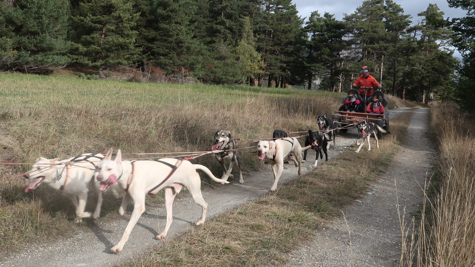 Husky Adventure dog karting in Aussois