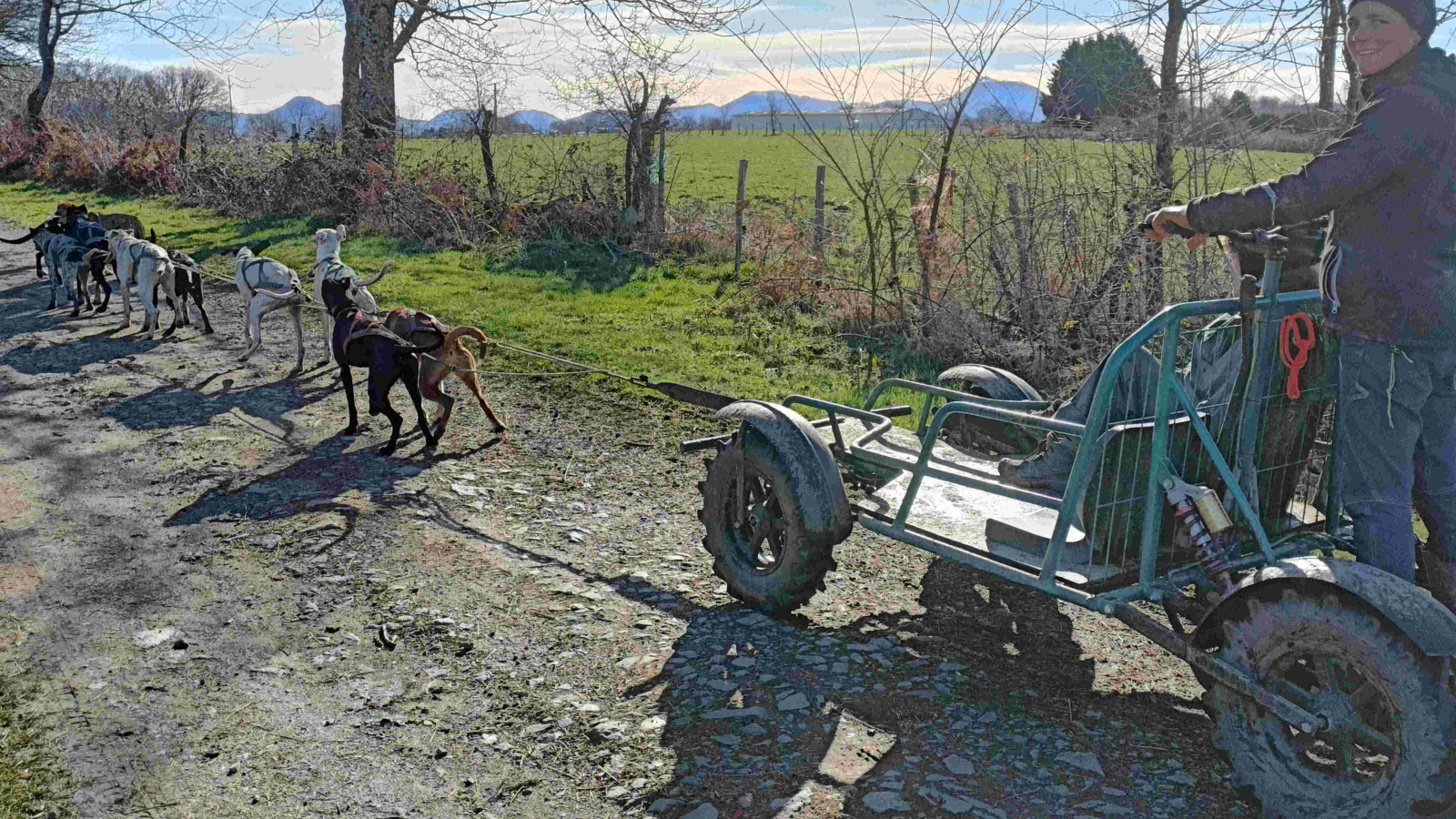 Balade en traineau à roues