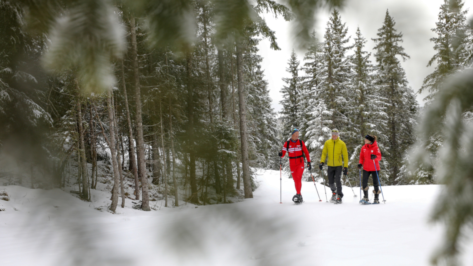 Groupe de raquettistes évoluant dans un décor hivernal en pleine forêt, encadré par un moniteur de l'ESF