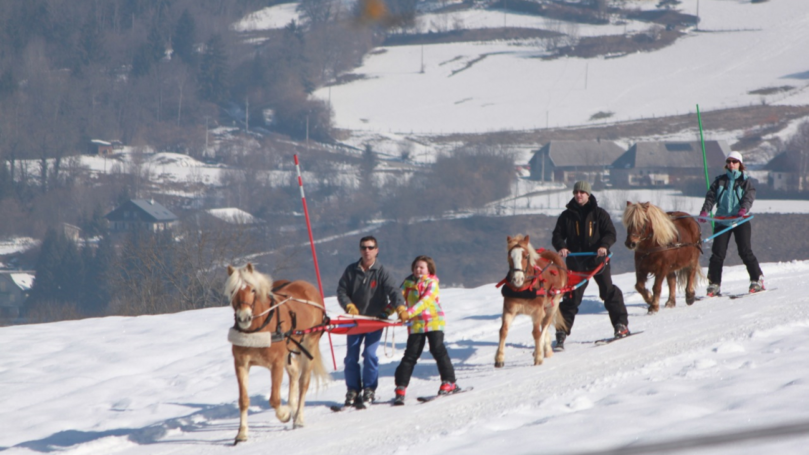 Balades Ski Joëring en famille