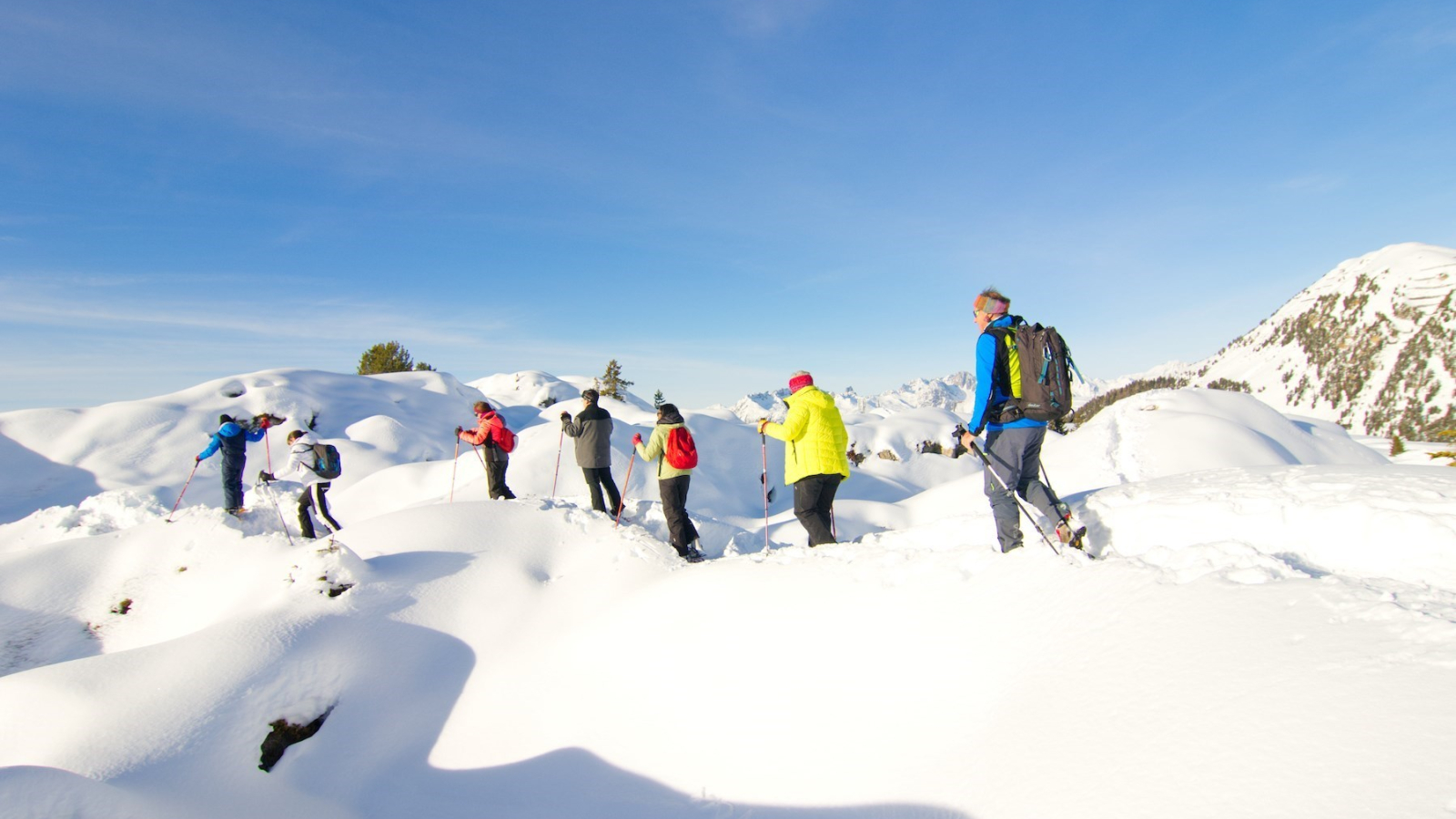 snowshoe group in the mountains