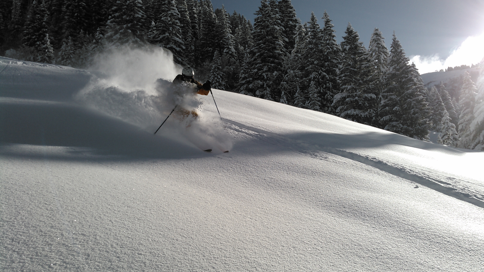 Ski en poudreuse