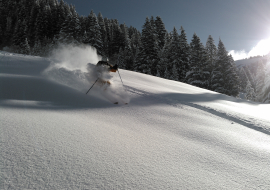 Ski en poudreuse