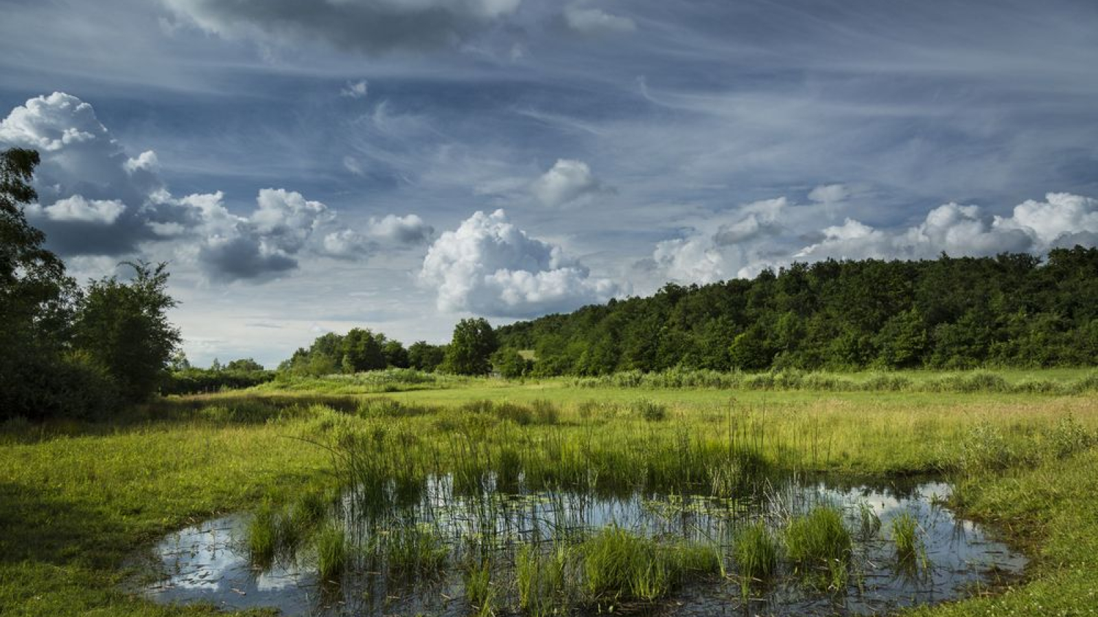 Espace naturel sensible de l’étang de Lemps