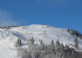 Pistes de ski - Les Frasses