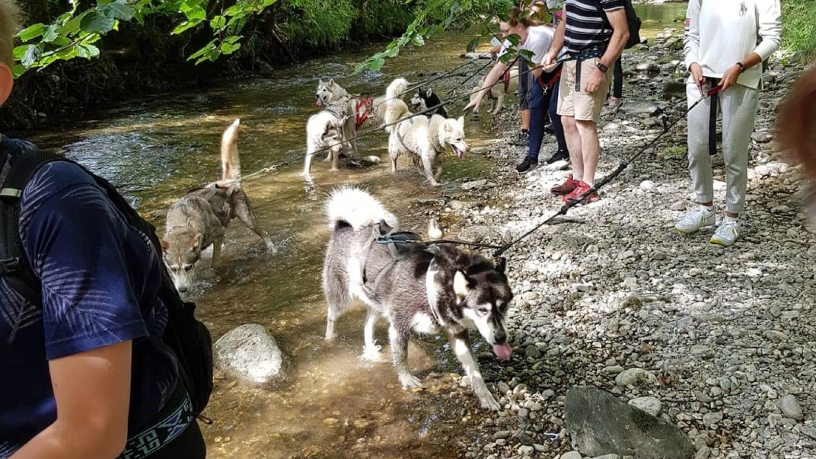 canirando en bord de rivière