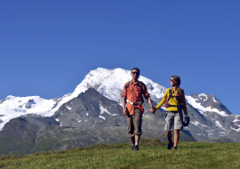 Vue sur le  Mont Pourri