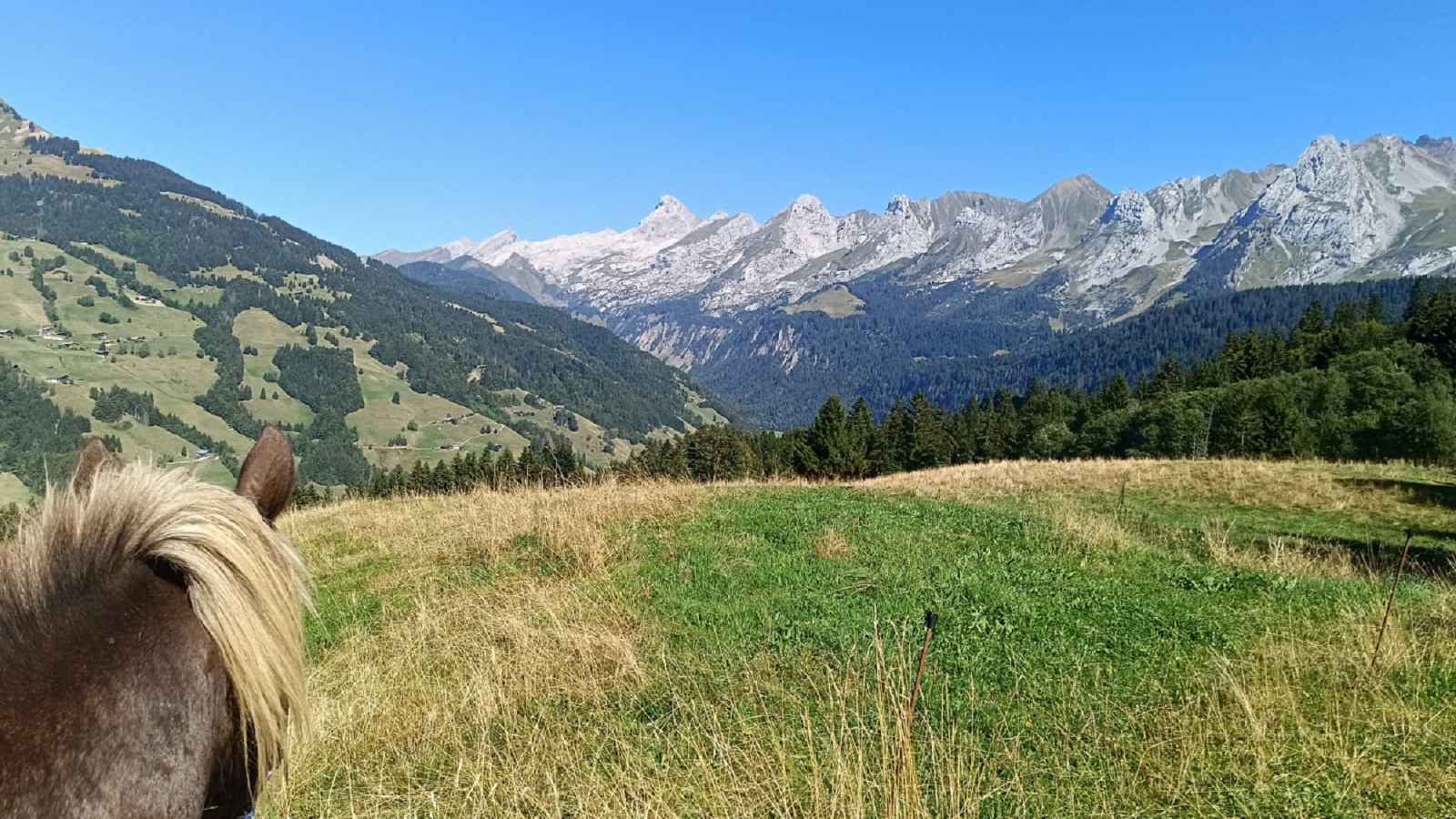 Balade à poney au Grand-Bornand avec vue sur la chaîne des Aravis