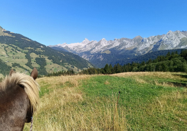 Balade à poney au Grand-Bornand avec vue sur la chaîne des Aravis