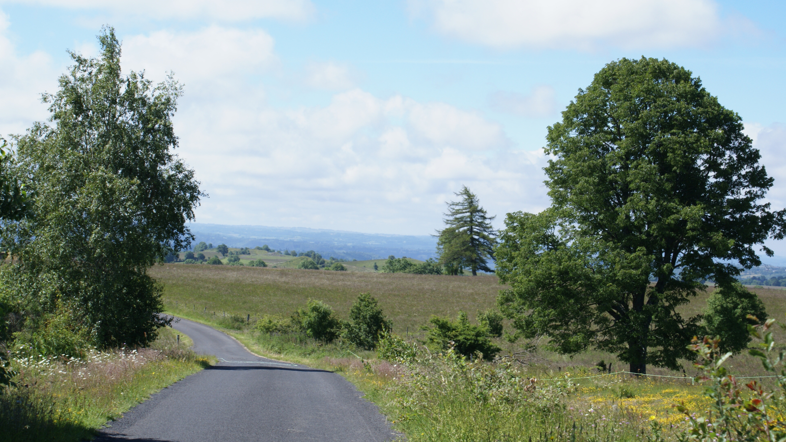 Sur le Plateau de Vigouroux