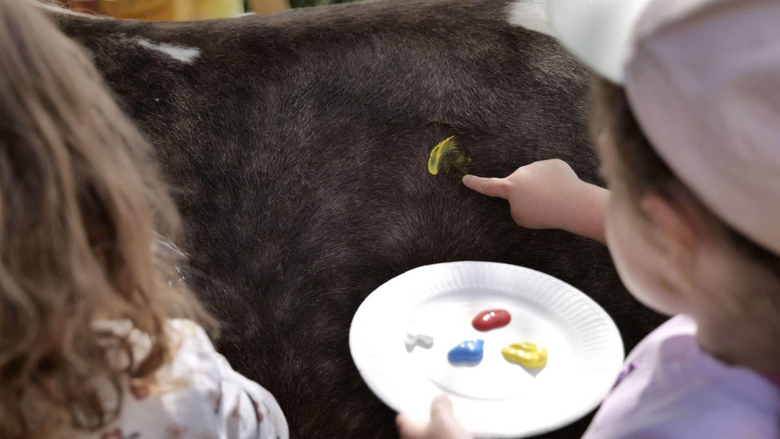 Jeux de peinture avec les poneys