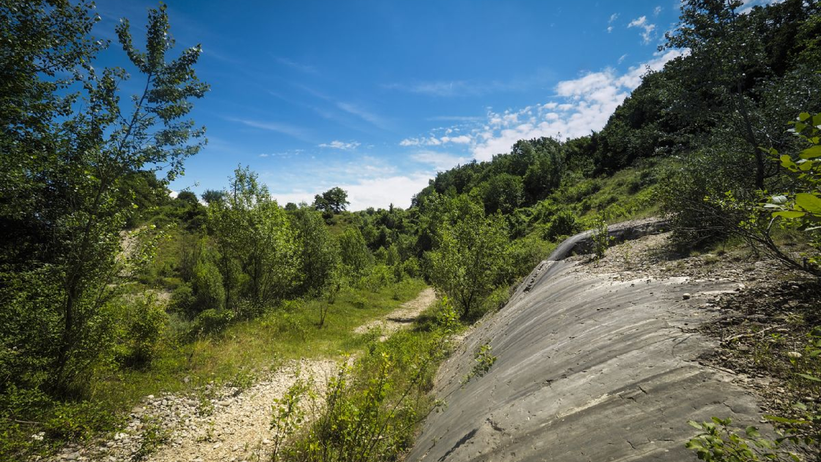 Espace Naturel Sensible de la Save - Secteur des étangs de Passins