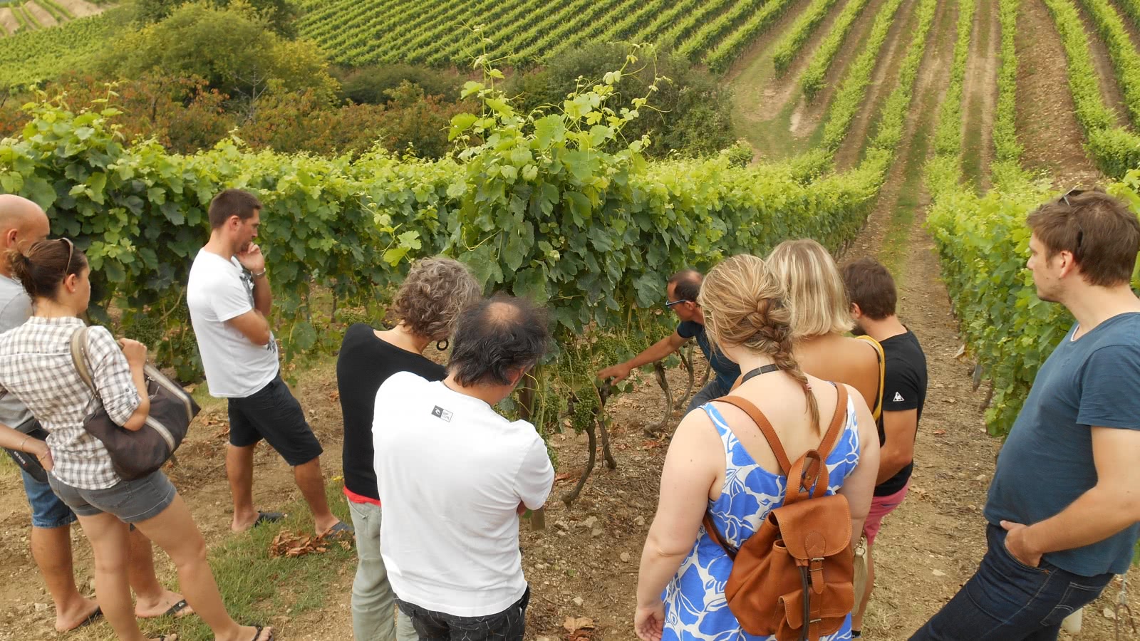 De la vigne au verre_Terres  de Syra