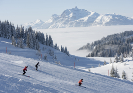 Domaine_Skiable_229850_©N.Joly_OT_Les_Gets