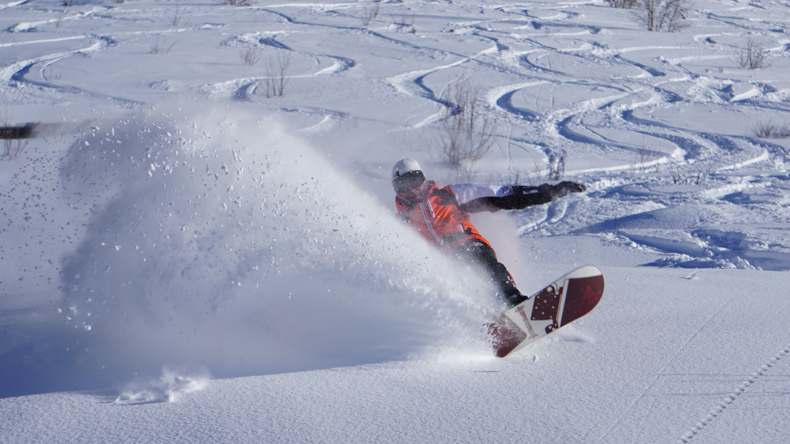 Ecole de ski Pro ski