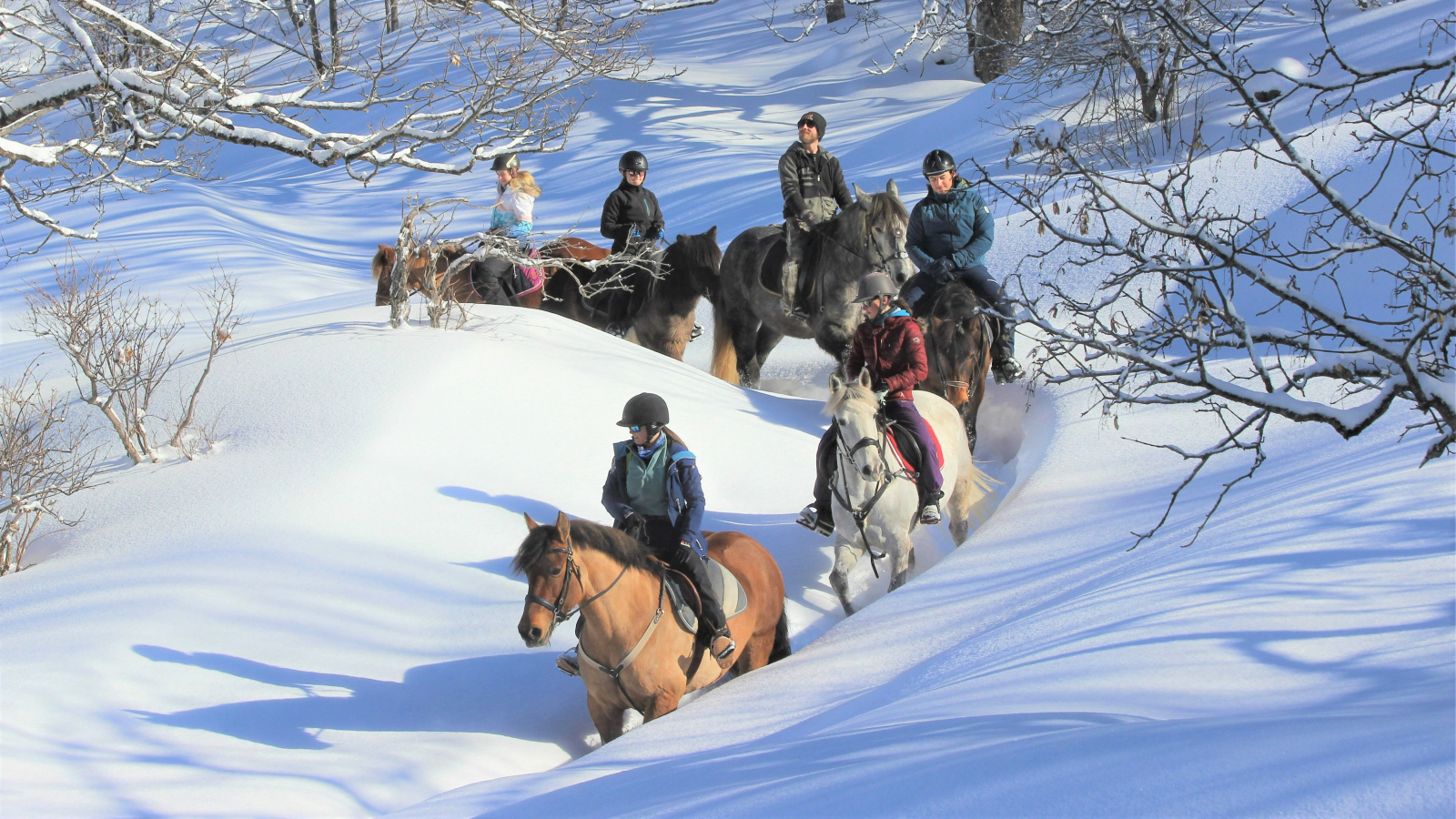 Balade à Cheval hiver