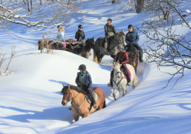 Balade à Cheval hiver