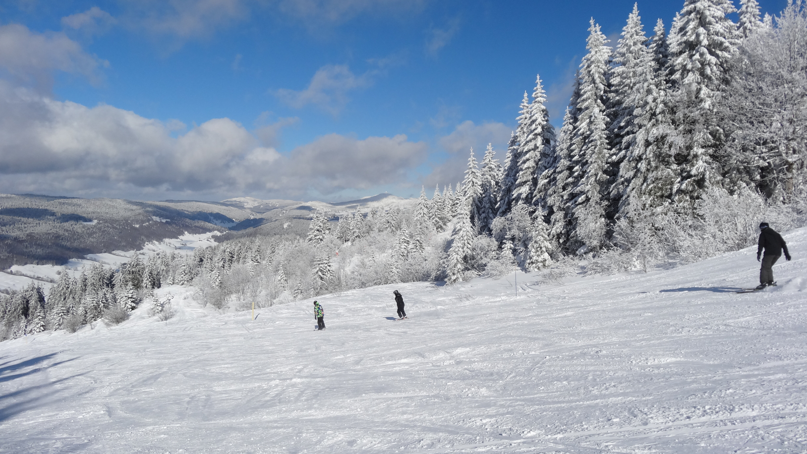 Piste