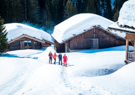 Visite et dégustation à la ferme aravis