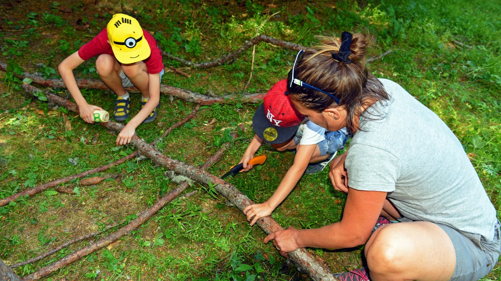 Sciage des branches