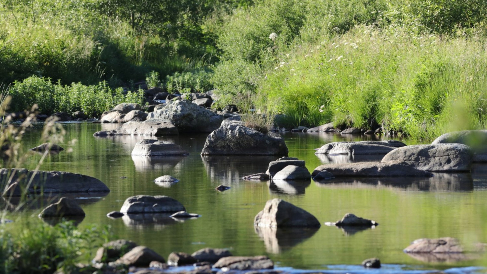 rivière de la bourges