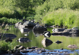 rivière de la bourges