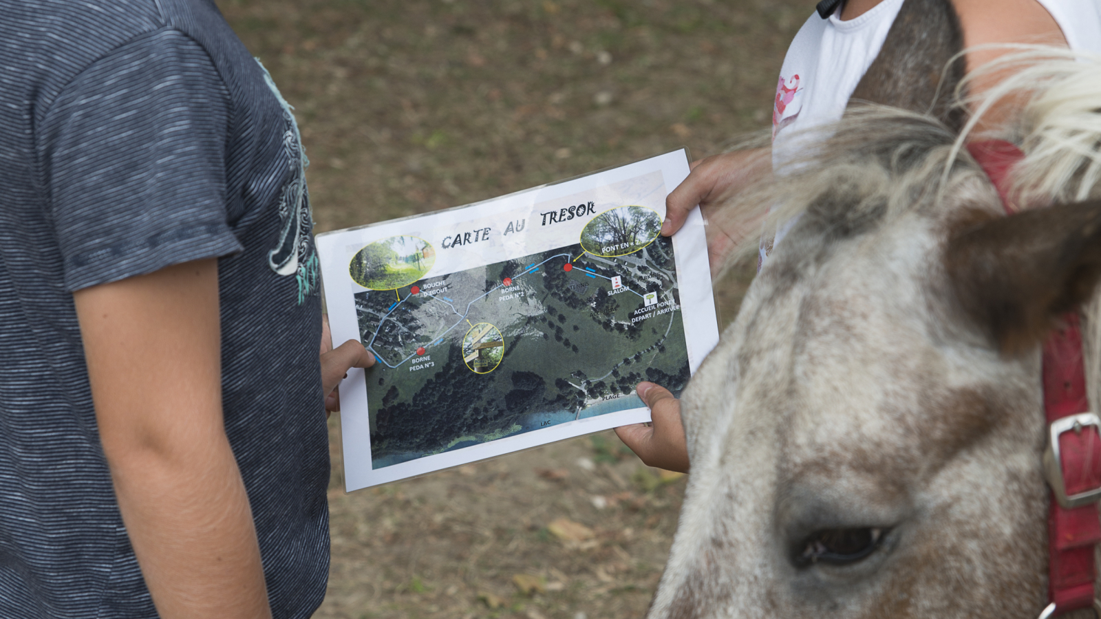 Chasse aux trésors à Poney