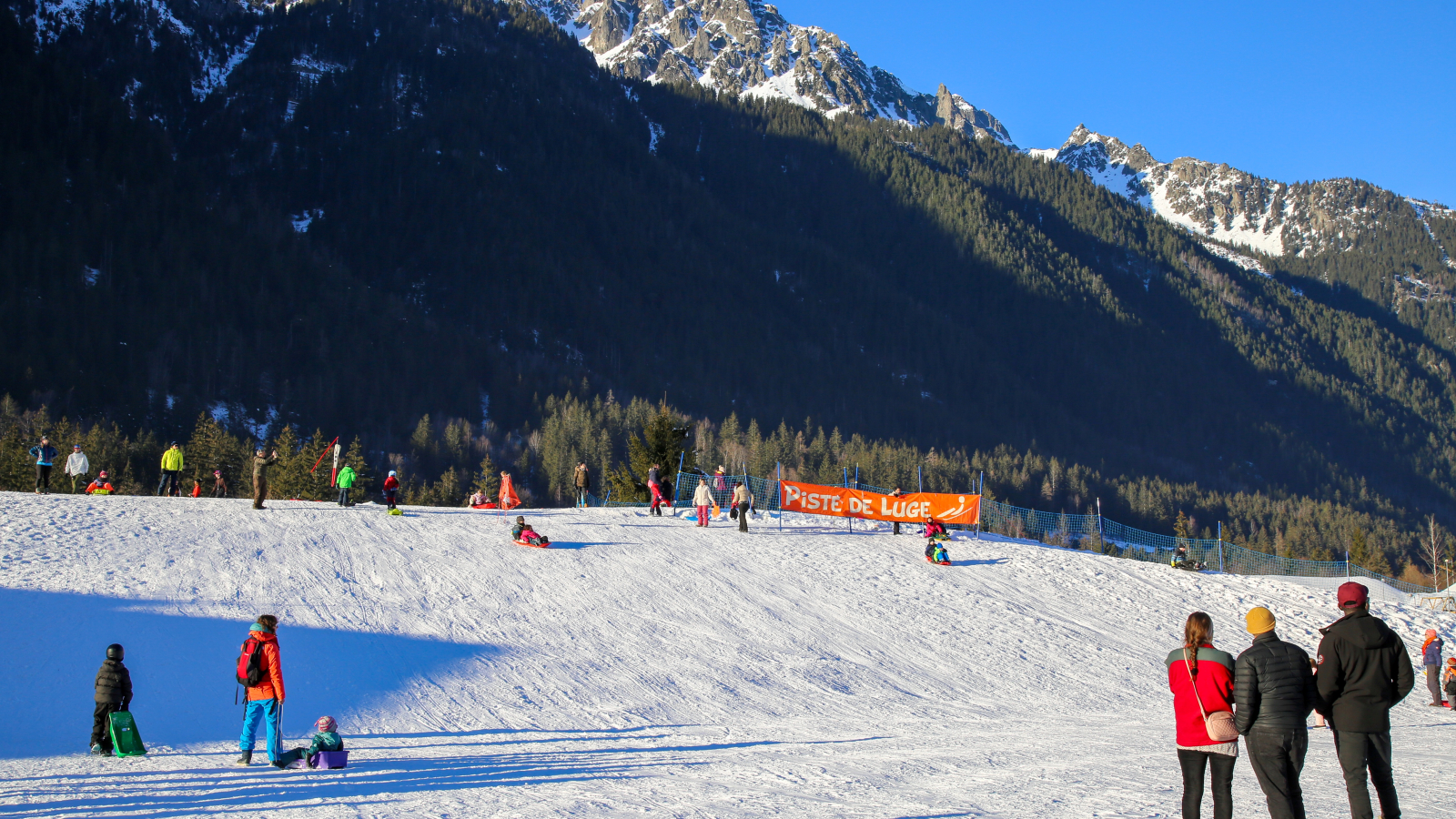 Luge Bois du Bouchet