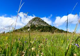 Mont Gerbier de Jonc