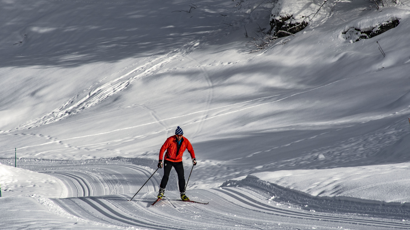 Skieur nordique sur la piste bleue