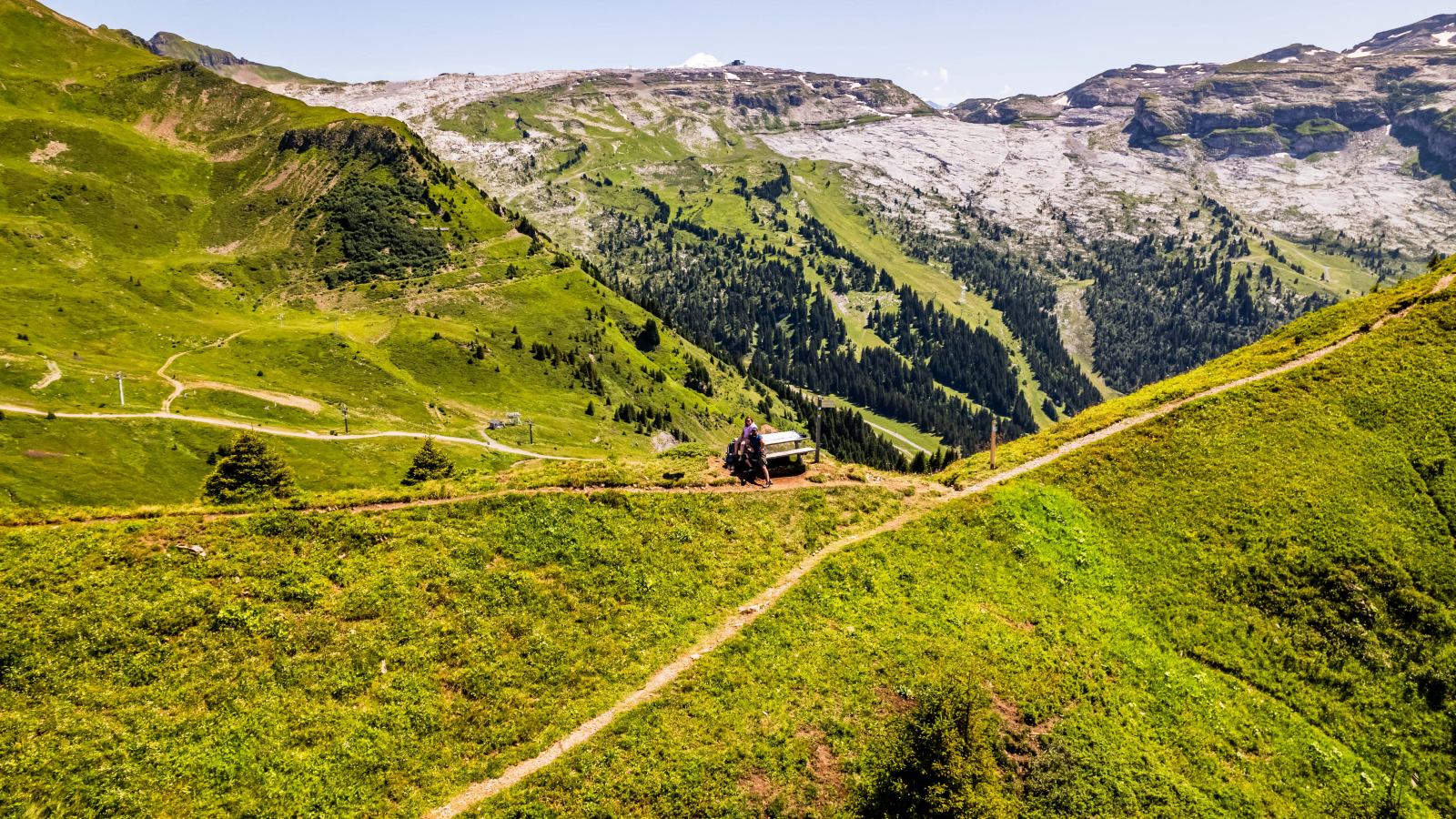 Vue aérienne de la table de pique-nique