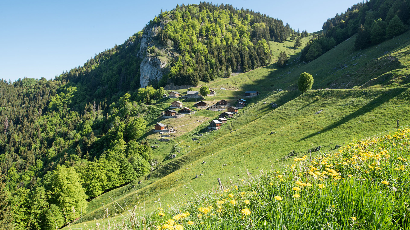 Alpage de Tréchauffé