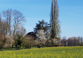 Vue du gite à votre arrivée