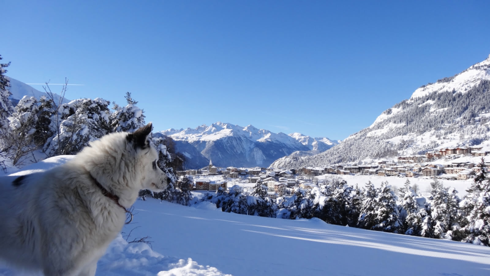 Séjour Grande Odyssée à Aussois