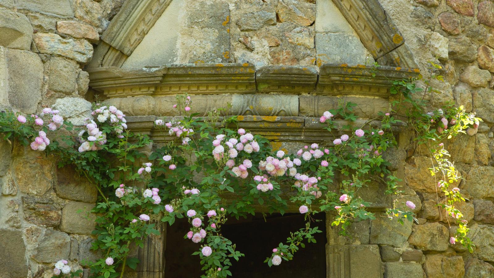 Fabras - Château du Pin