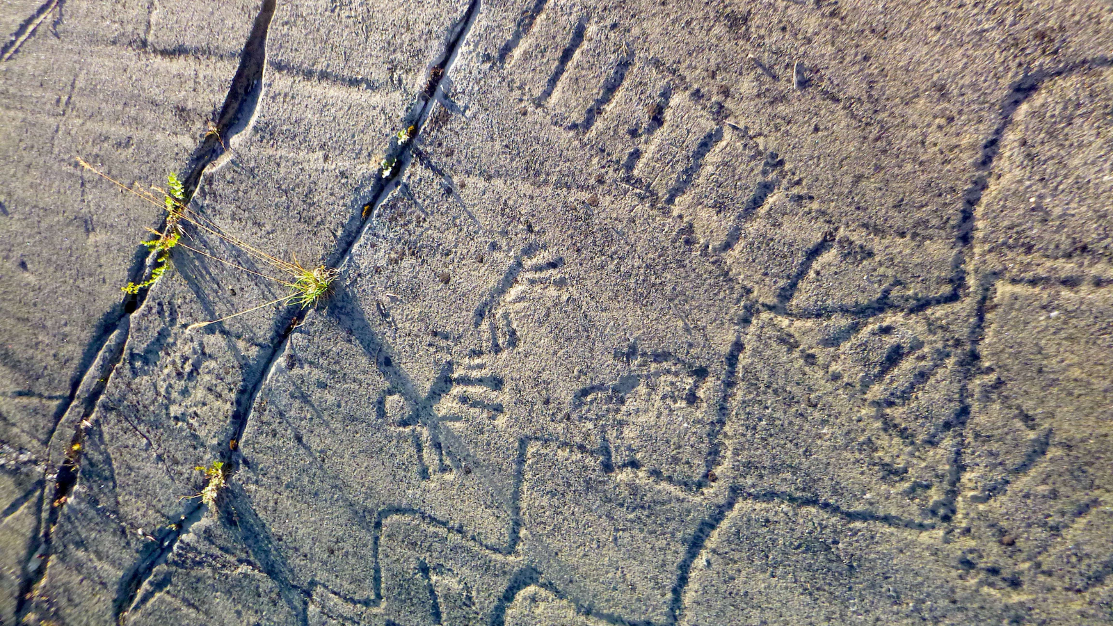 Rock engravings at the Lozes site