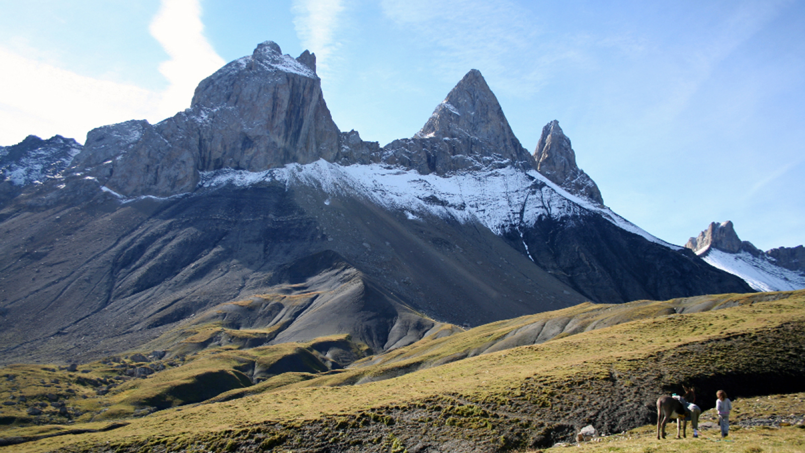 Anes aux pieds des Aiguilles