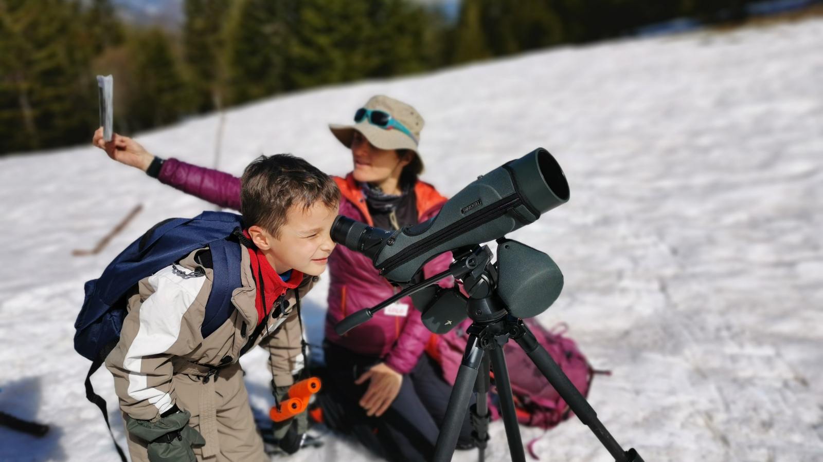 Observation-chamois-megeve