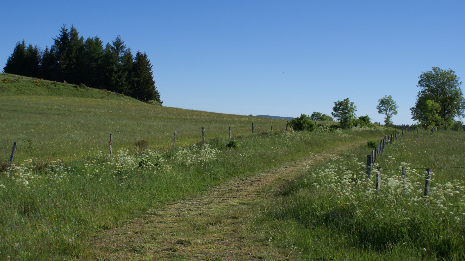 Chemin vers le Bois de Montrozier