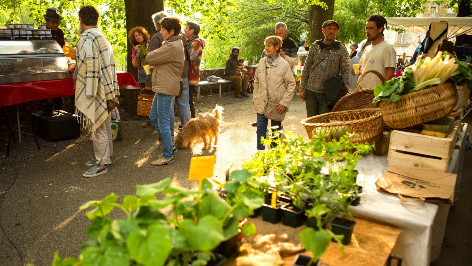 Chirols - Marché de producteurs-2 ©S.BUGNON