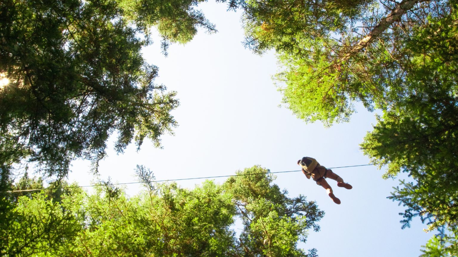 En l'air dans l'accrobranche