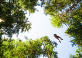 Up in the air in the rope park