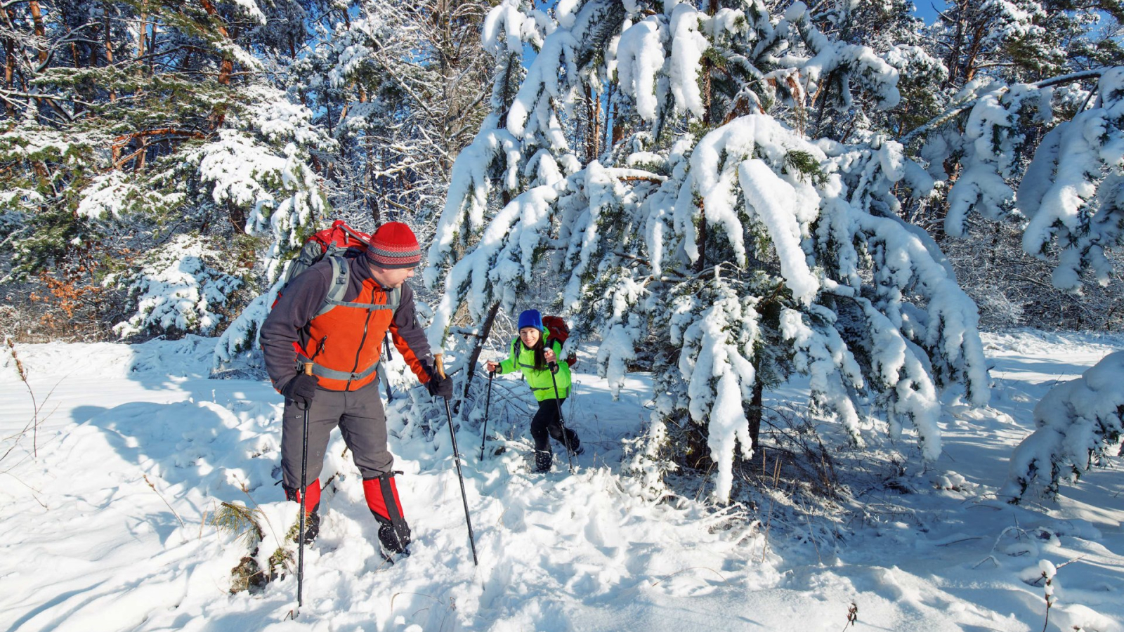 Balade en raquettes sous les sapins enneigés