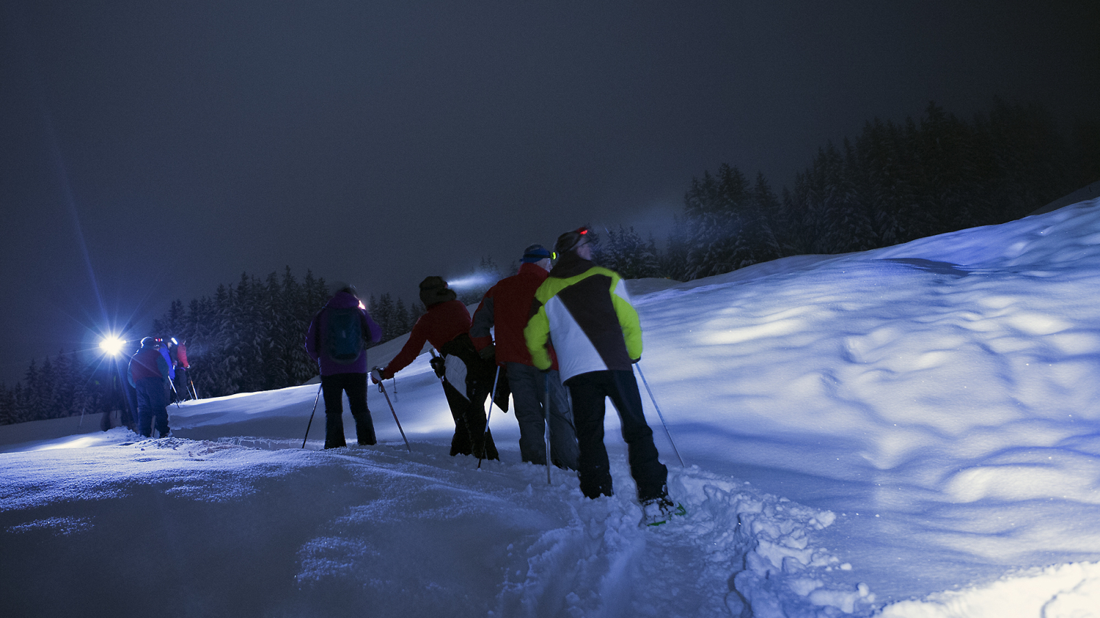 Snowshoeing by night