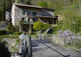 Messicole, Maison de devant