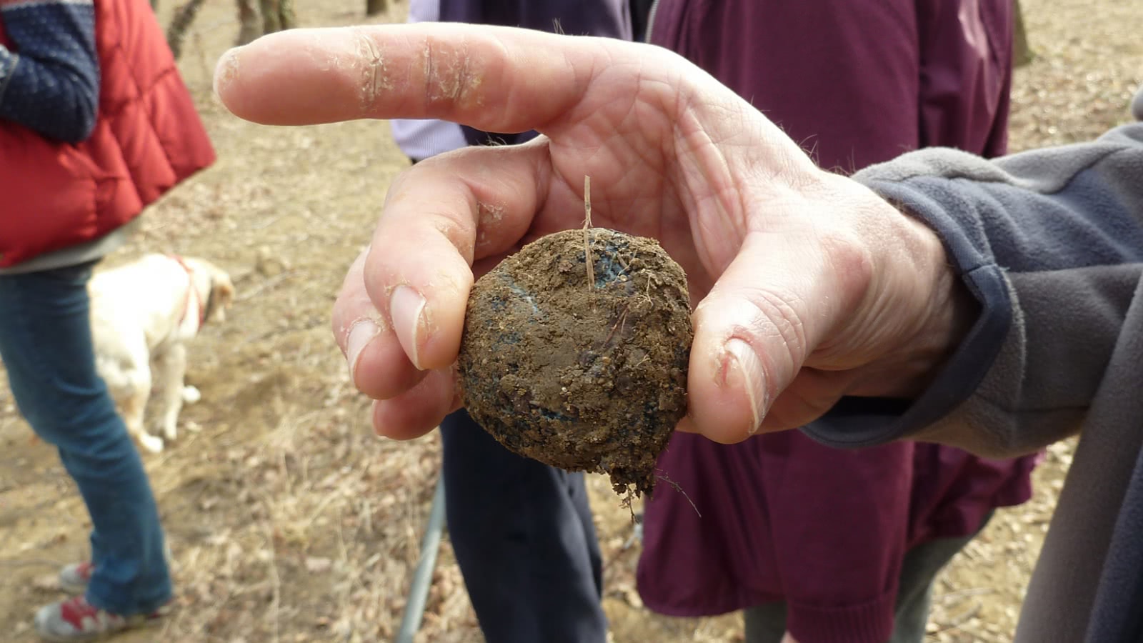 Week-end truffes au Mas des Alibeaux