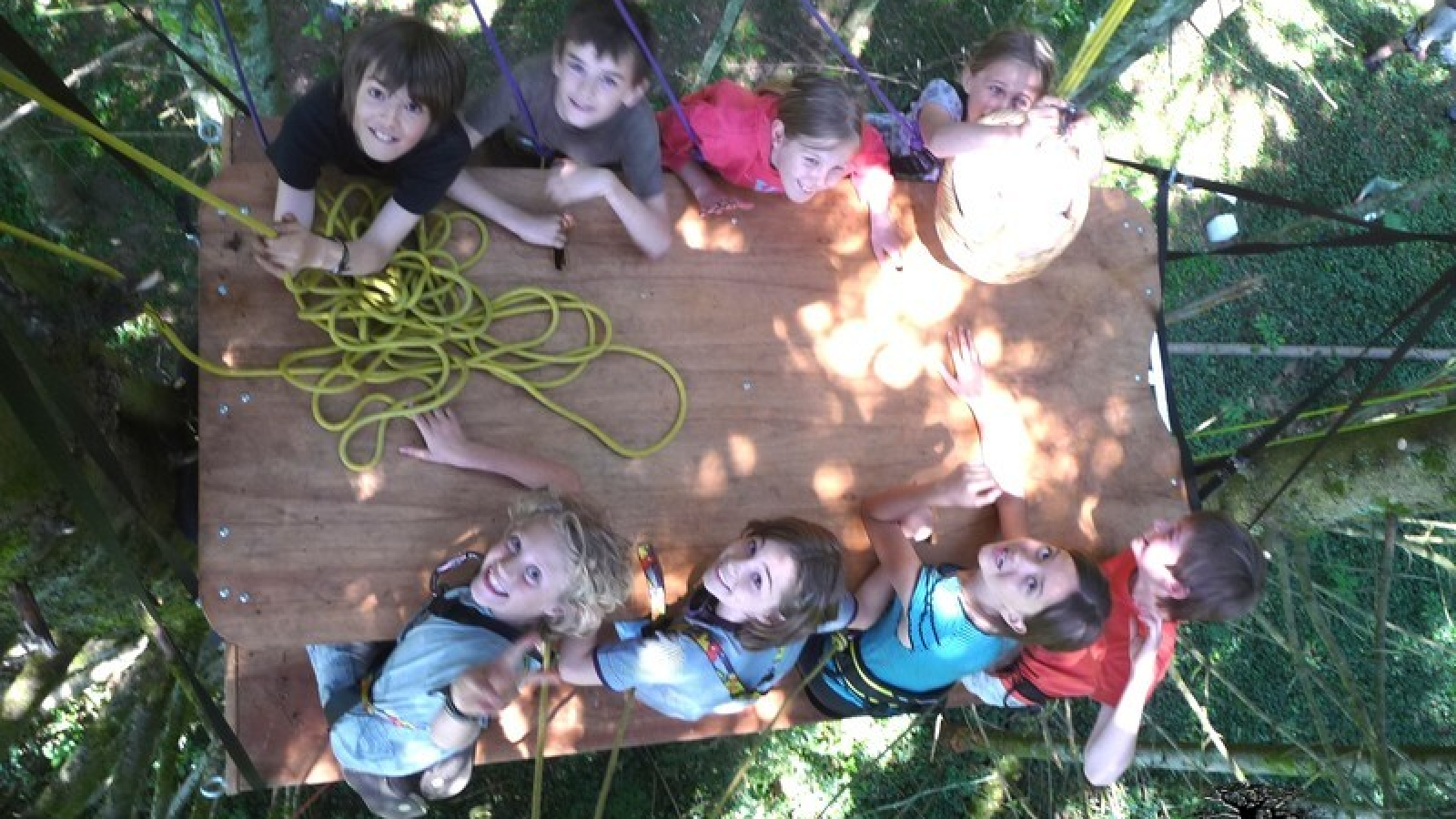 Sam Branche Goûter dans les arbres