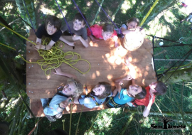 Sam Branche Goûter dans les arbres