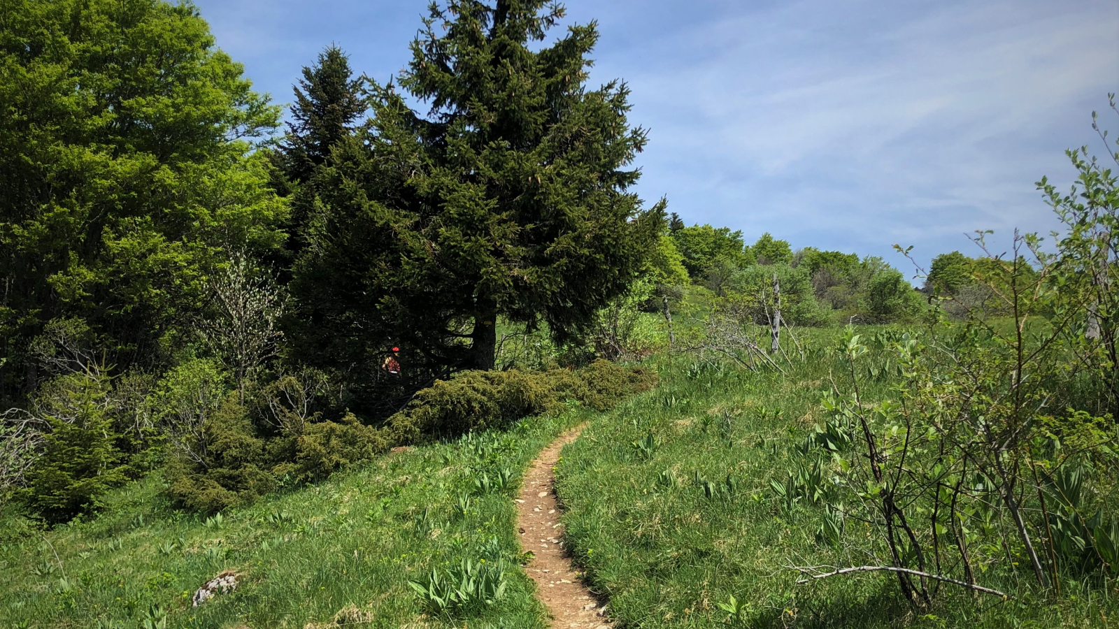 Col de Charbemènes